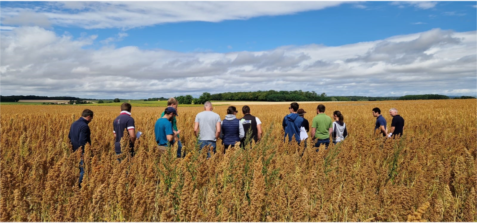 Visite d’essais avec les agriculteurs partenaires